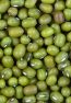 Green Gram beans1